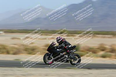 media/Apr-10-2022-SoCal Trackdays (Sun) [[f104b12566]]/Speed Shots Back Straight (930am)/